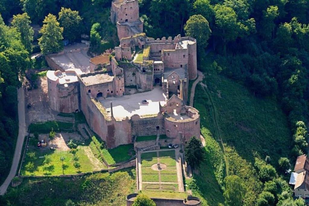 Appartamento Freinsheim Altstadt Esterno foto